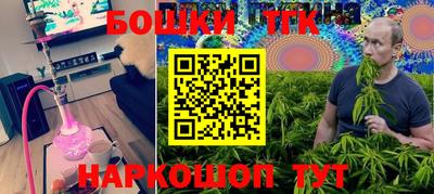 амф Камышлов