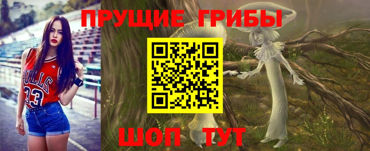 Дальнегорск  Галлюциногенные грибы Magic Shrooms  Псилоцибиновые грибы Cubensis  Вход с VPN 