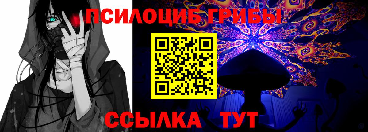 Галлюциногенные грибы Magic Shrooms Дальнегорск